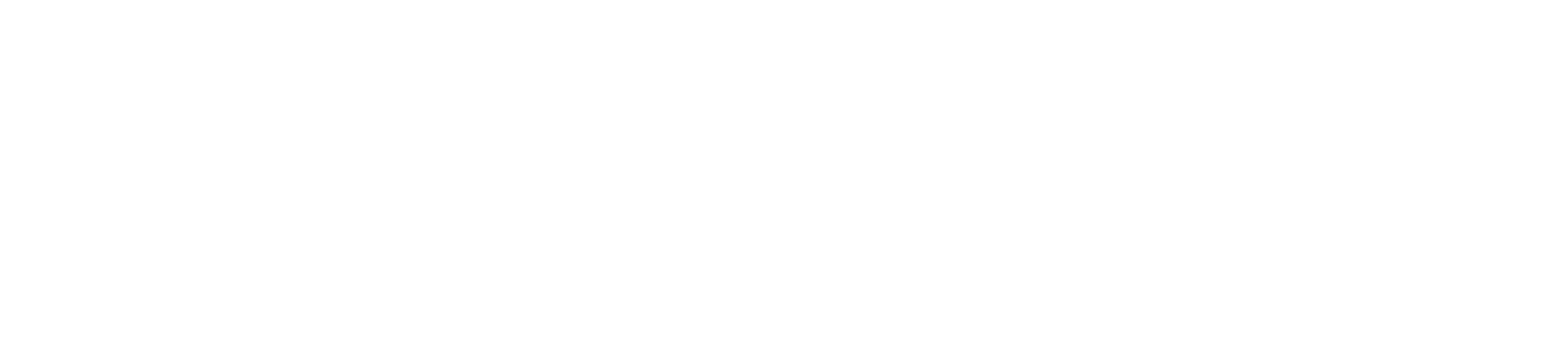 PUC Investment Bank